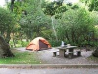 mount pisgah campgrounds.jpg